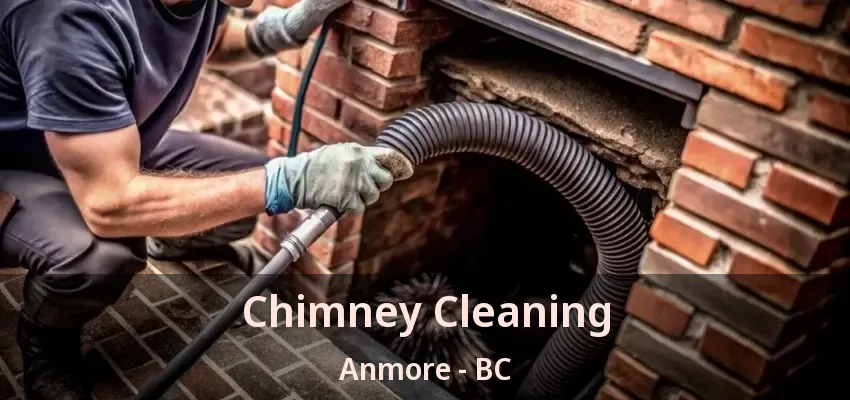 Chimney Cleaning Anmore - BC Chimney Cleaning Anmore - BC