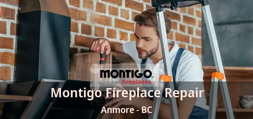 Montigo Fireplace Repair Anmore - BC Montigo Fireplace Repair Anmore - BC