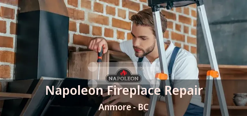 Napoleon Fireplace Repair Anmore - BC Napoleon Fireplace Repair Anmore - BC