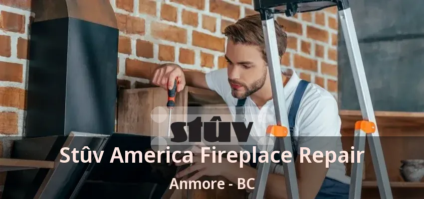 Stûv America Fireplace Repair Anmore - BC Stûv America Fireplace Repair Anmore - BC