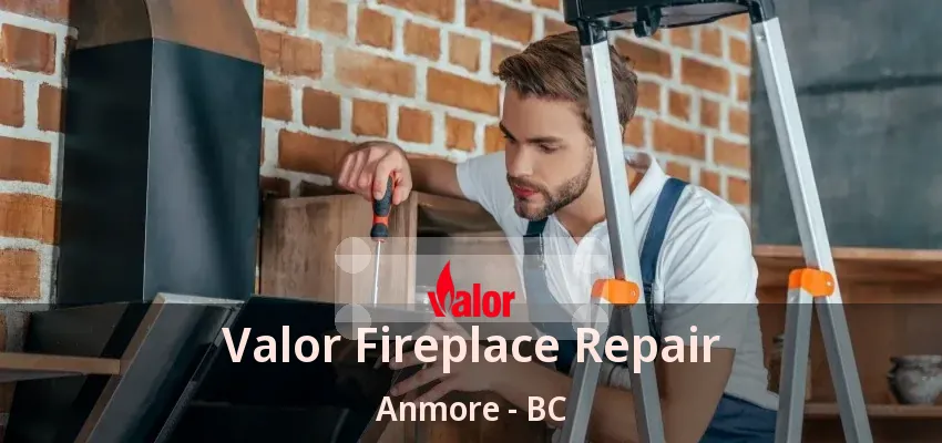 Valor Fireplace Repair Anmore - BC Valor Fireplace Repair Anmore - BC