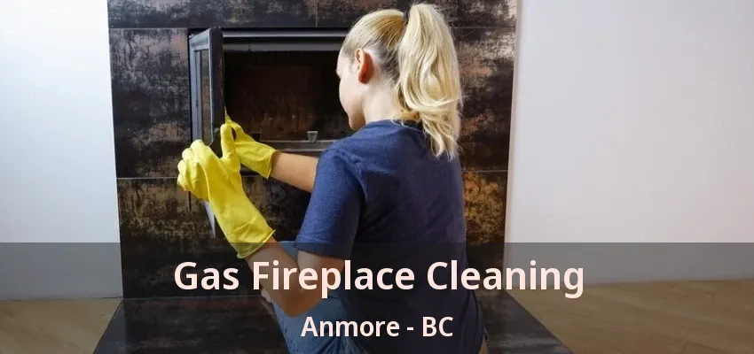 Gas Fireplace Cleaning Anmore - BC Gas Fireplace Cleaning Anmore - BC